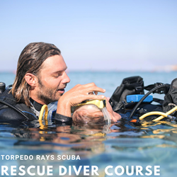 Rescue Diver